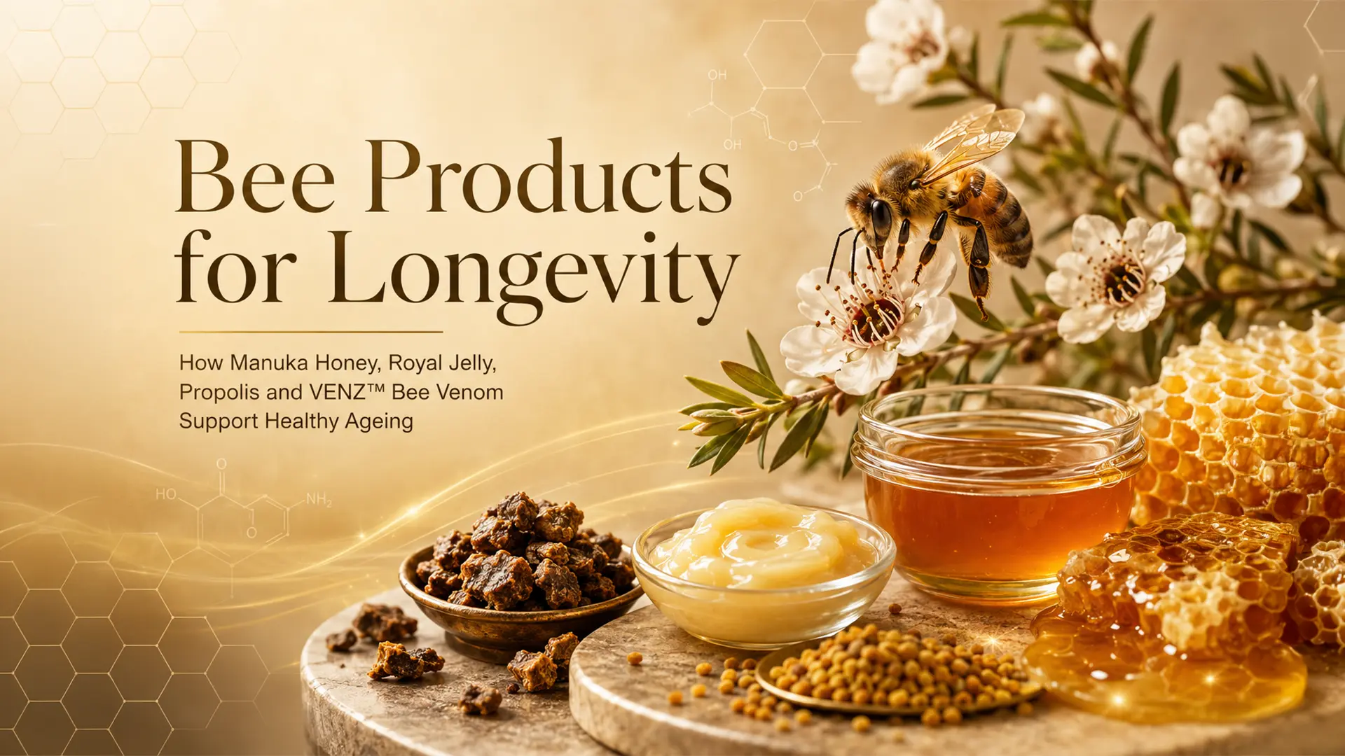 Bee Products for Longevity: How Manuka Honey, VENZ™, Propolis and Royal Jelly Support Healthy Ageing